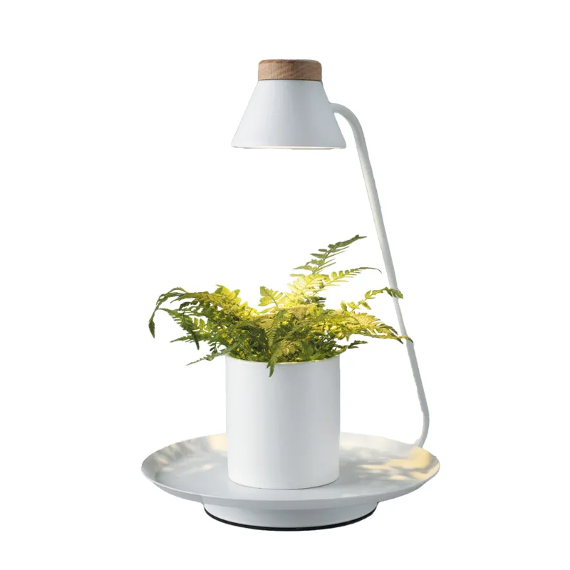 Lampada LED da interno con porta pianta YURA | Bianco