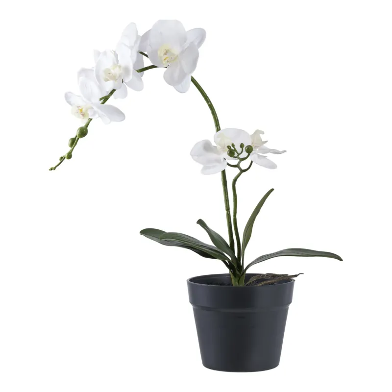 Kunstpflanze Orchidee – 49 cm elegante Blütenpracht für stilvolle Räume